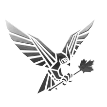 Load image into Gallery viewer, Responder - Multi-Role Wound Care Module V.2